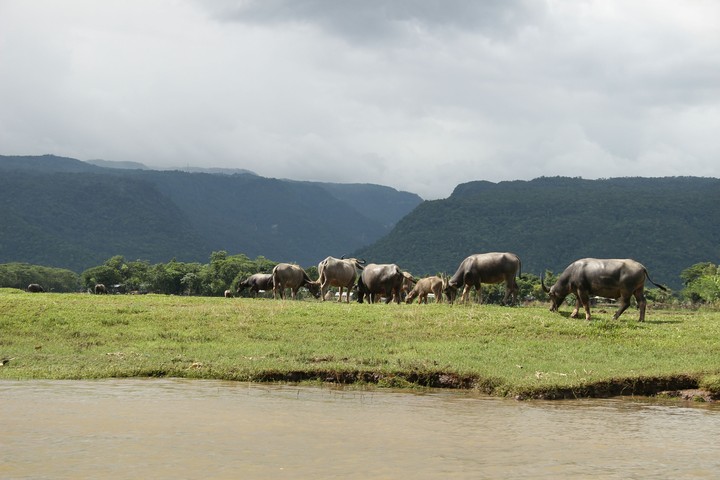 Amazing Beauty of the nature