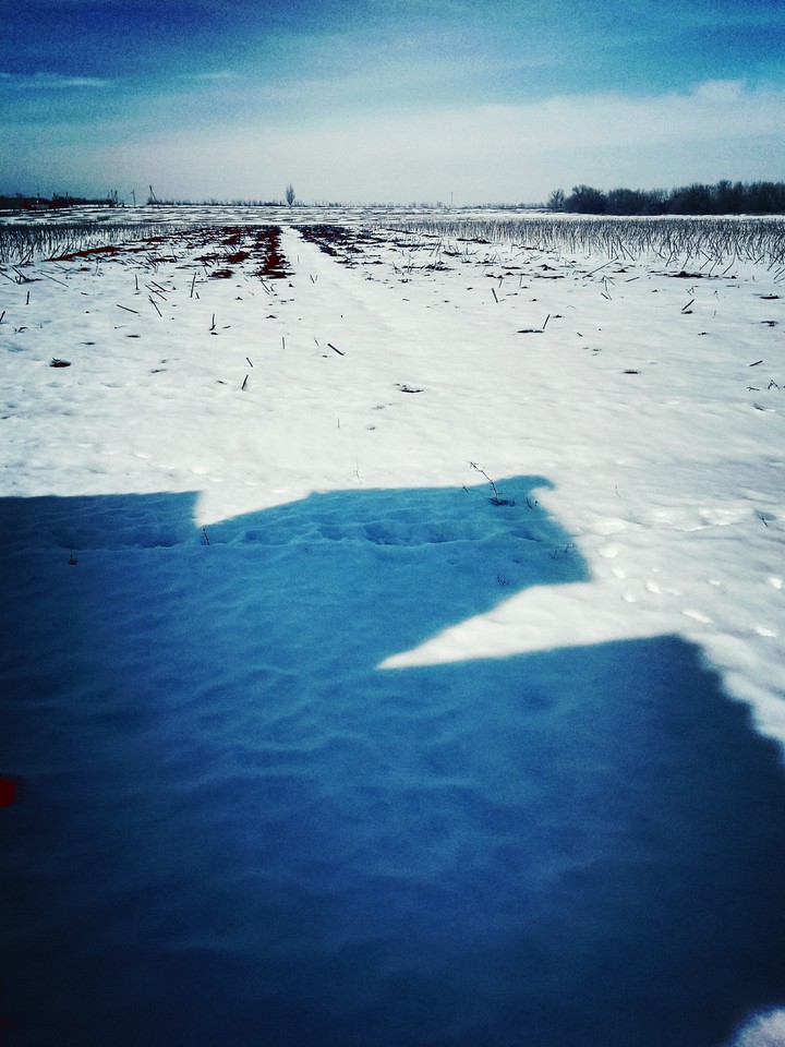 Поле
