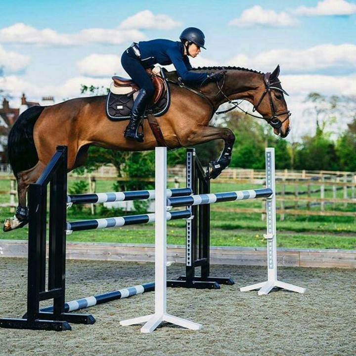 Horse riding