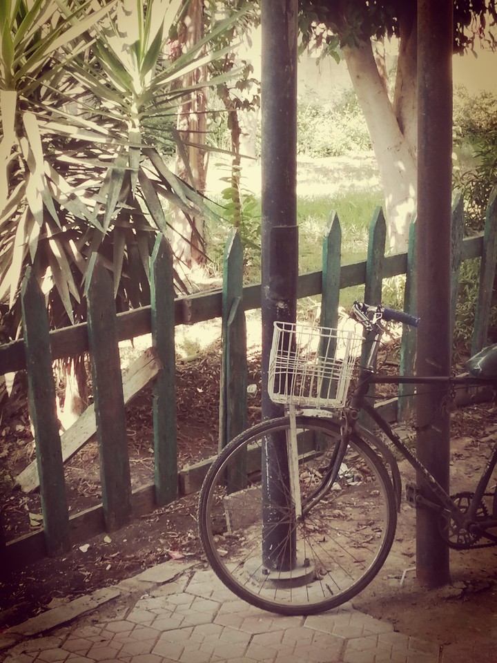 Bicycle