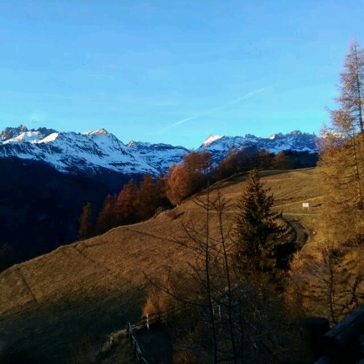 mondo vero&*
