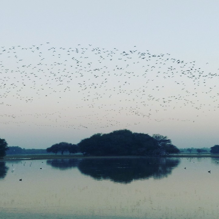 Lake