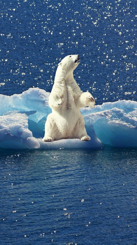 тапети carnivores, ocean