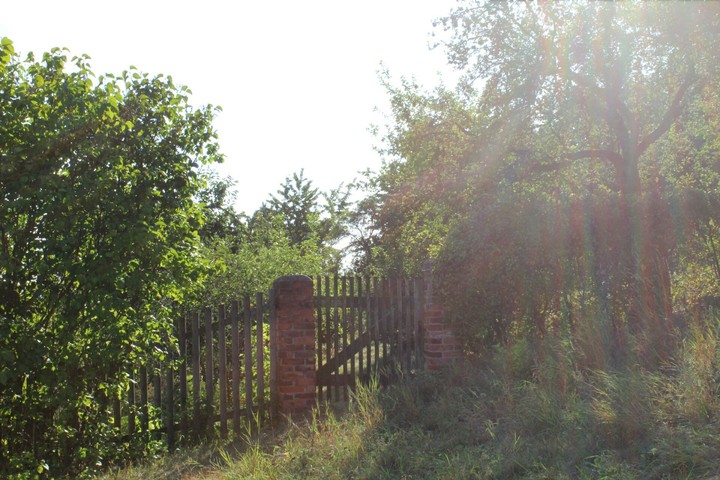 Secret Garden