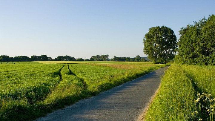 Green lane