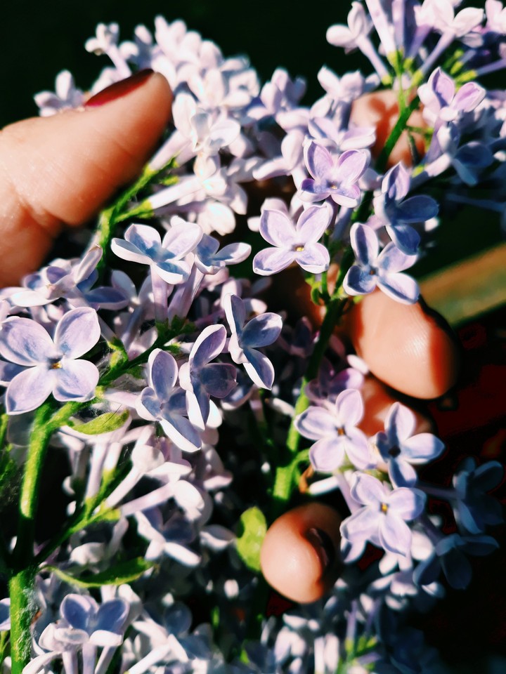 Fleur