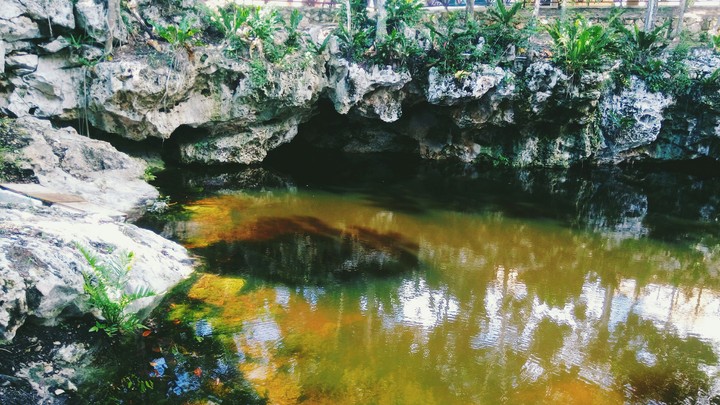 cenote