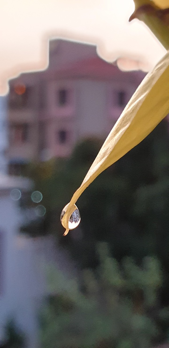 Water drop