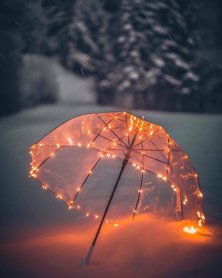 Umbrella