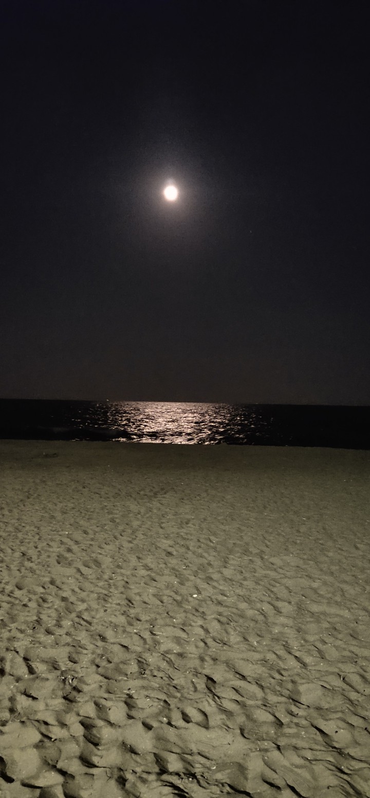 moonlight