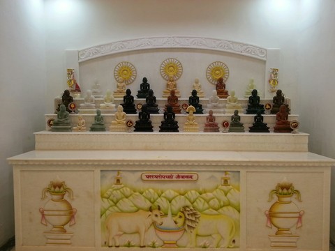 Jainsm