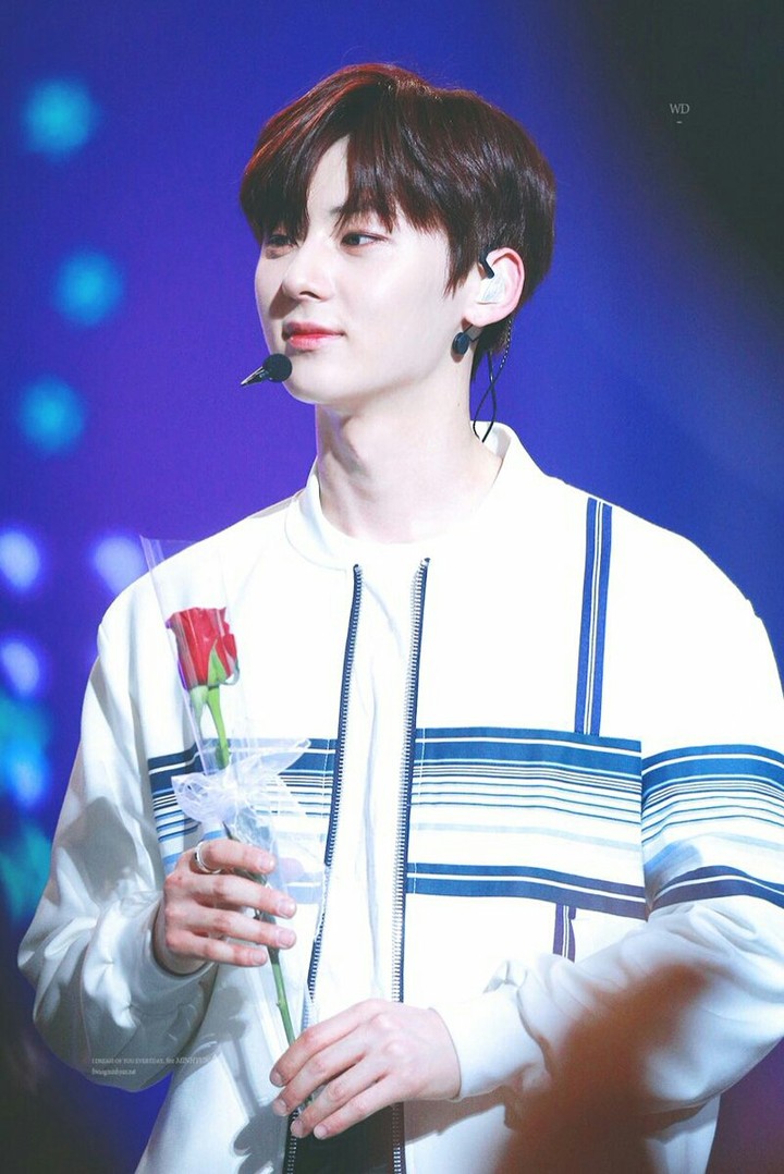 wanna one