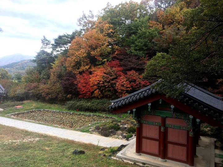 풍경