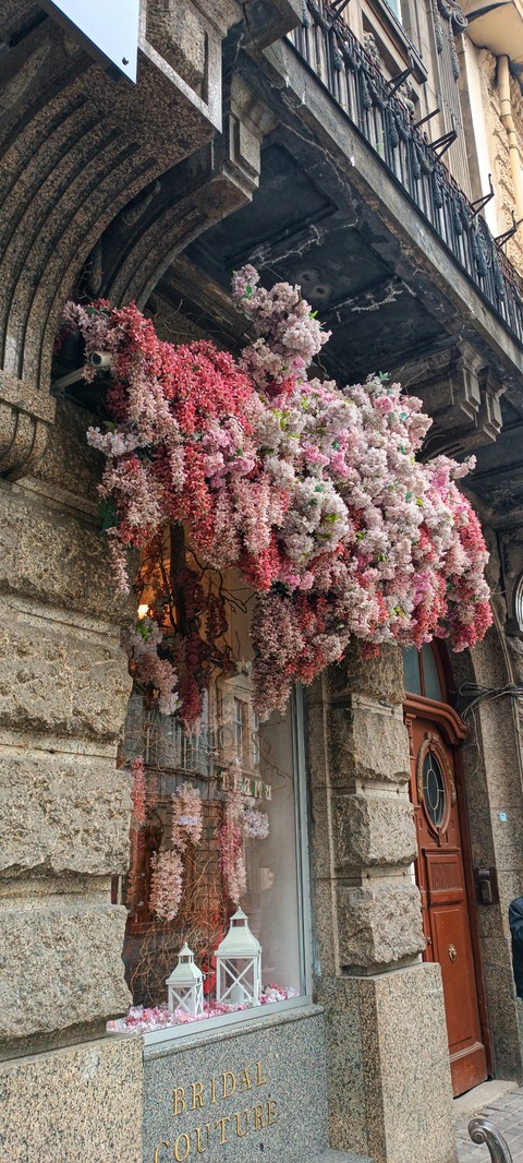 hình nền twig, plant
