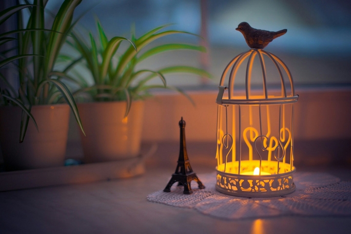 Lantern light