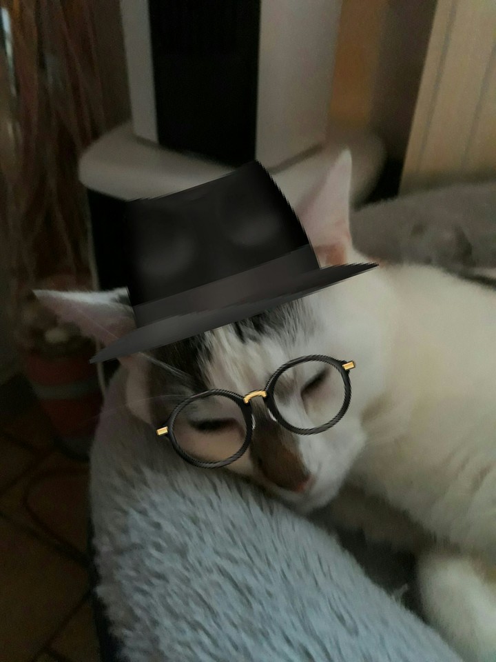 voila un businessman bien fénéant