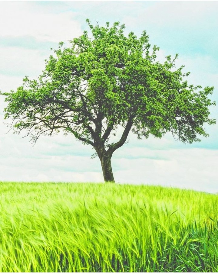 peaceful