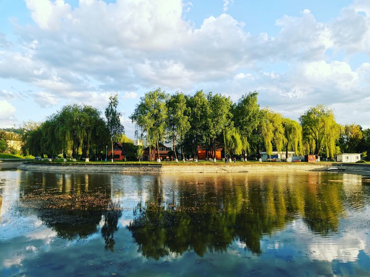 Reflection