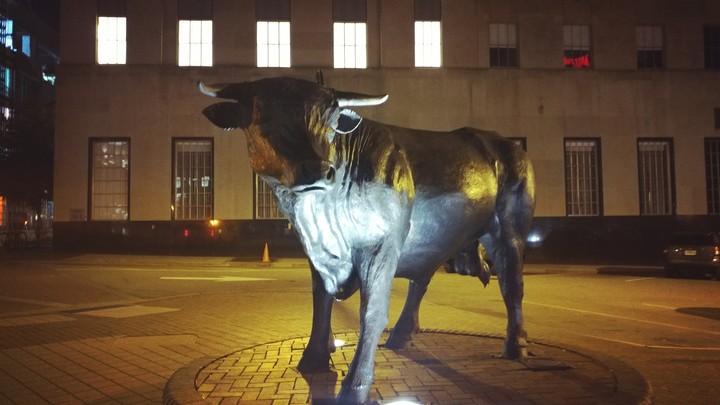 got bull?