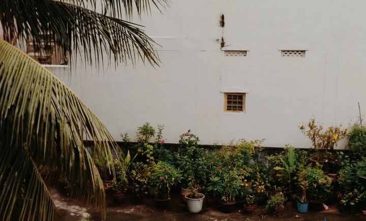 terrace