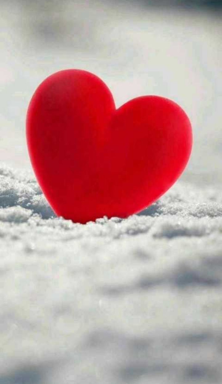 heart