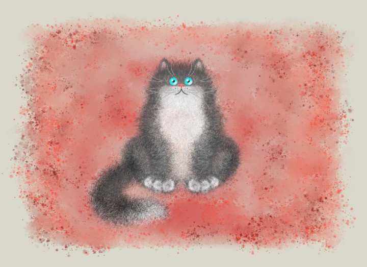 Кот