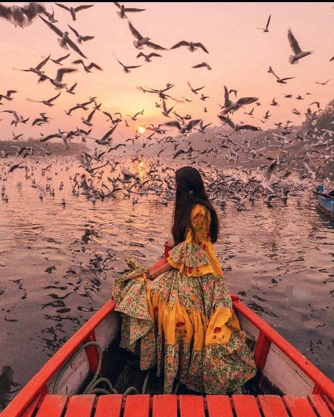 sfondi bird, sky