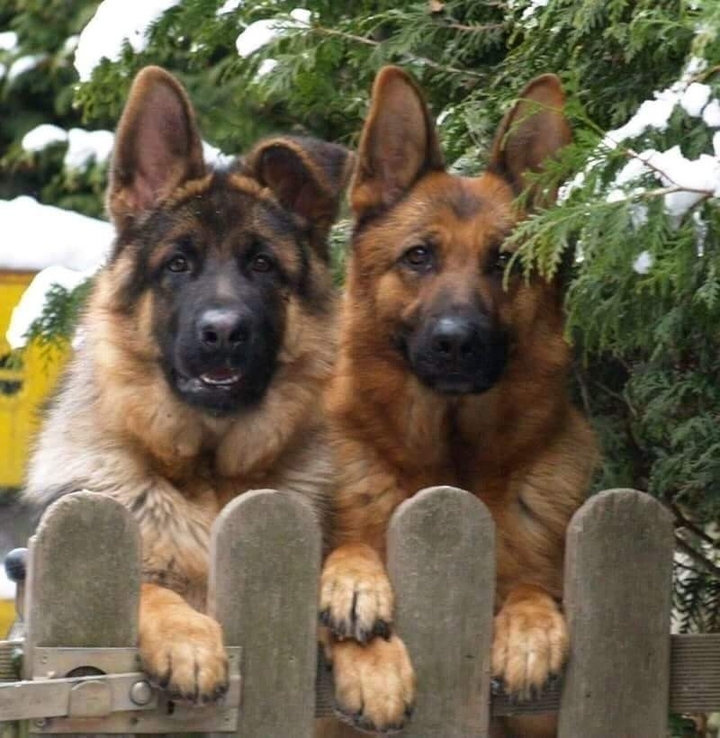 *