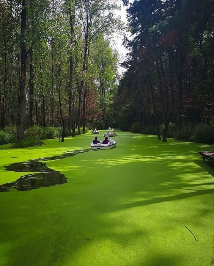 Iran♥️