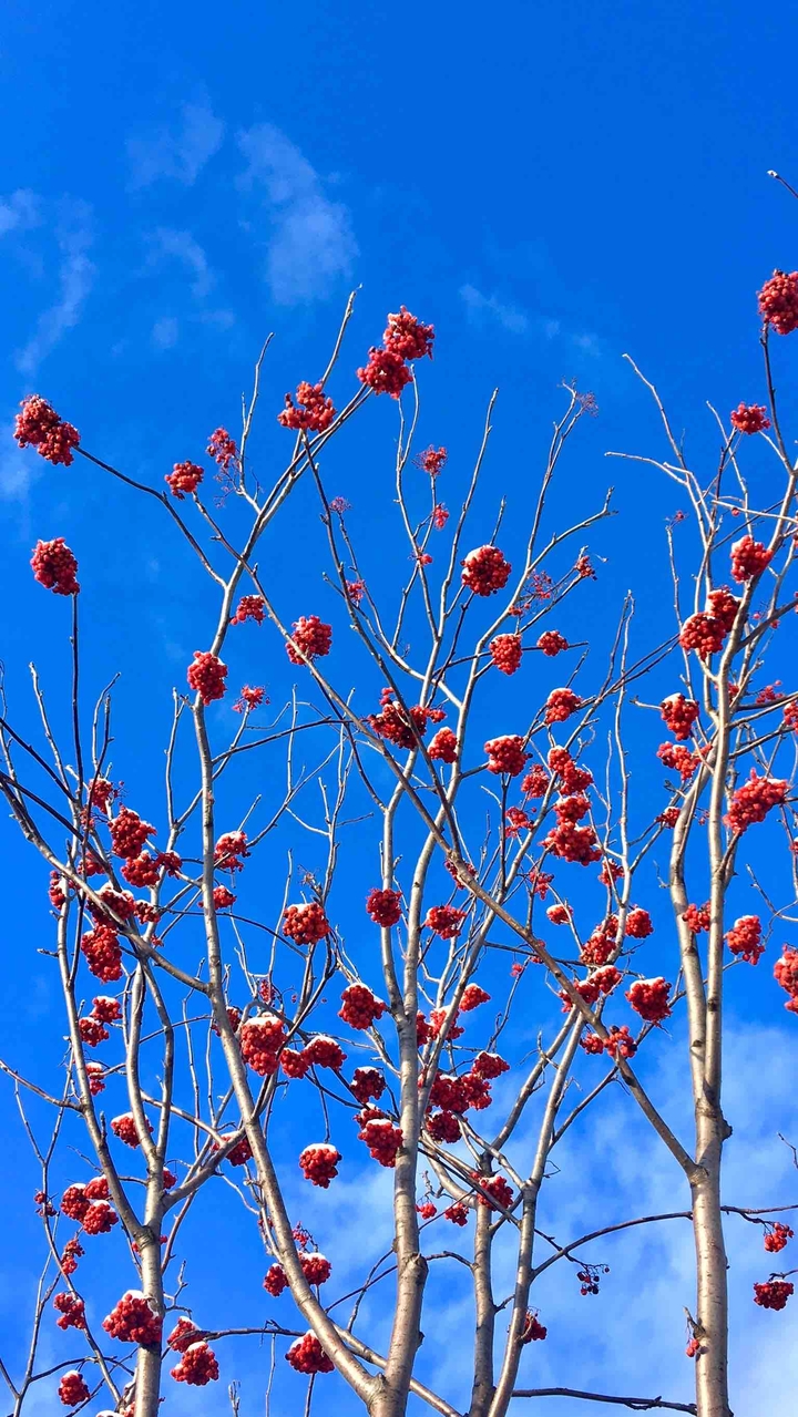winter