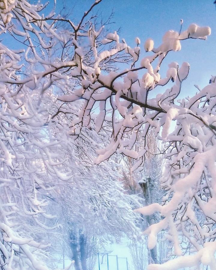 Снежно