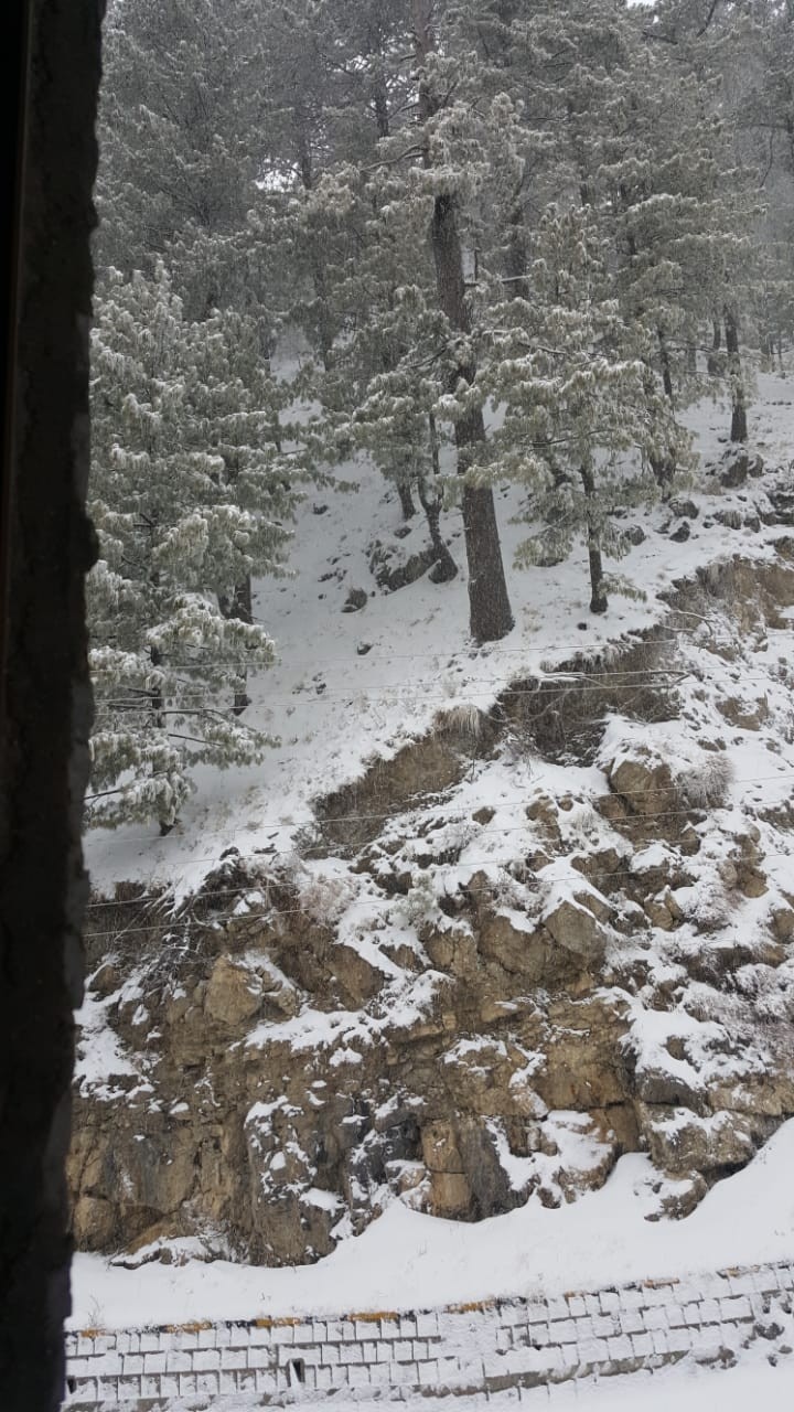 snow melts my heart