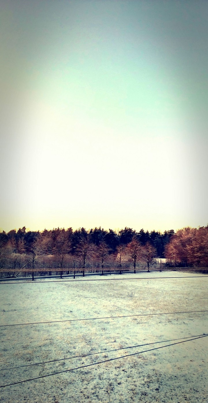winter morning