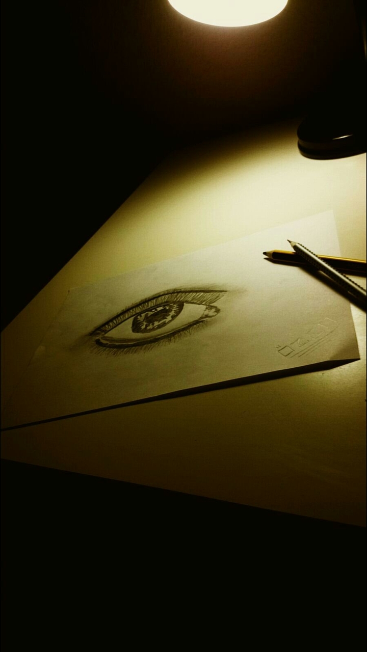 Das Auge