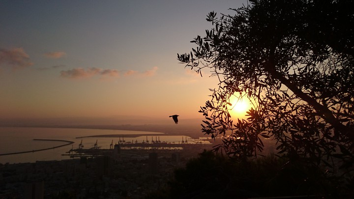 Sunrise