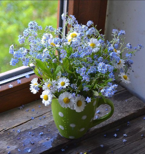 Forgetmenot