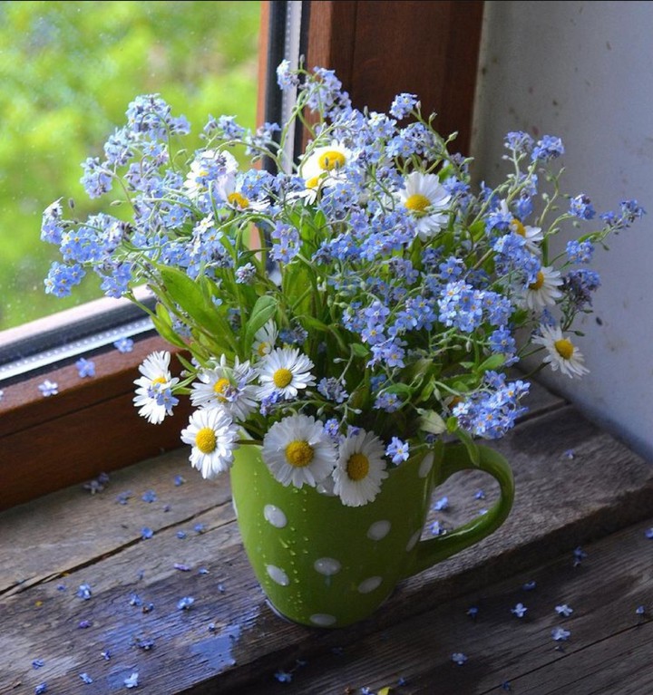 Forgetmenot