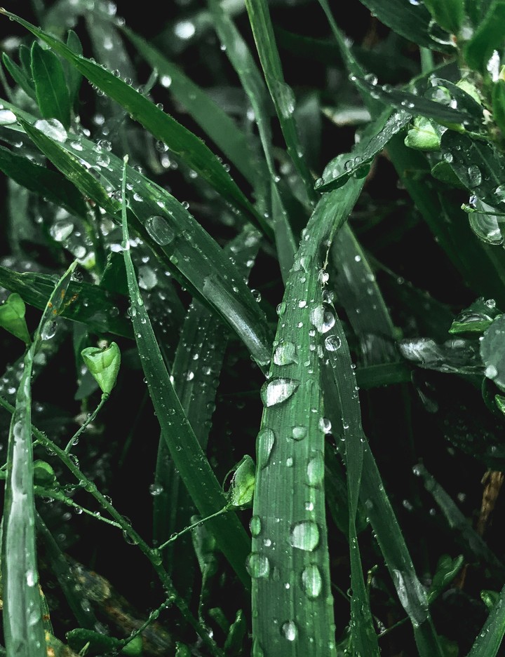 Moody green