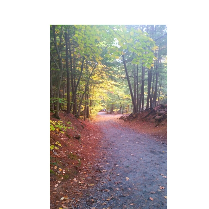 fall walk