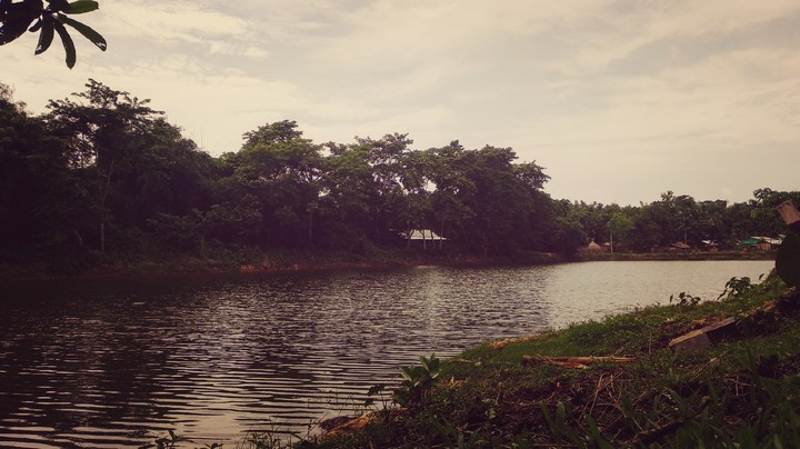 nature
