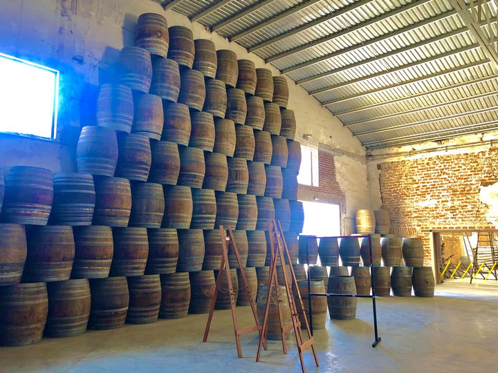 Barricas Santo Tomas