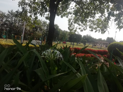 Botanical garden