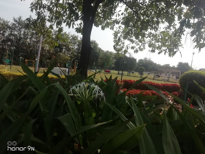 Botanical garden