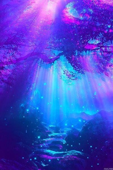 in the forest 