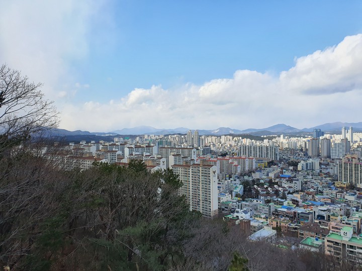 자연