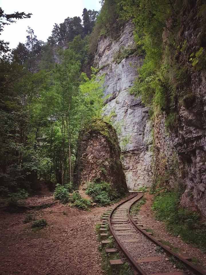 Дорога
