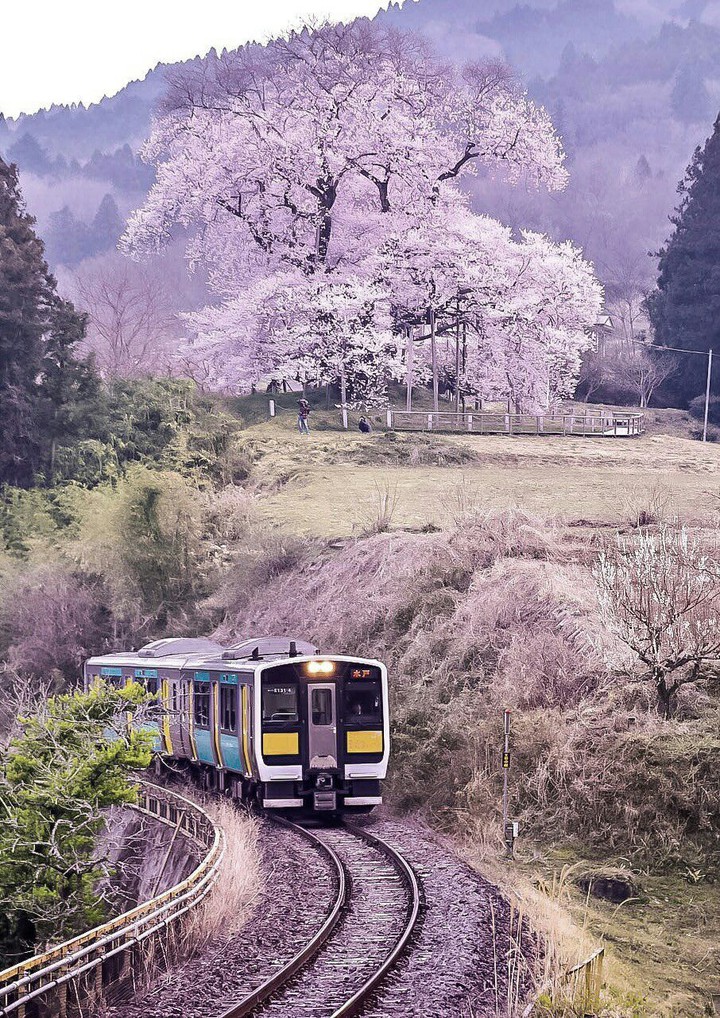 a train