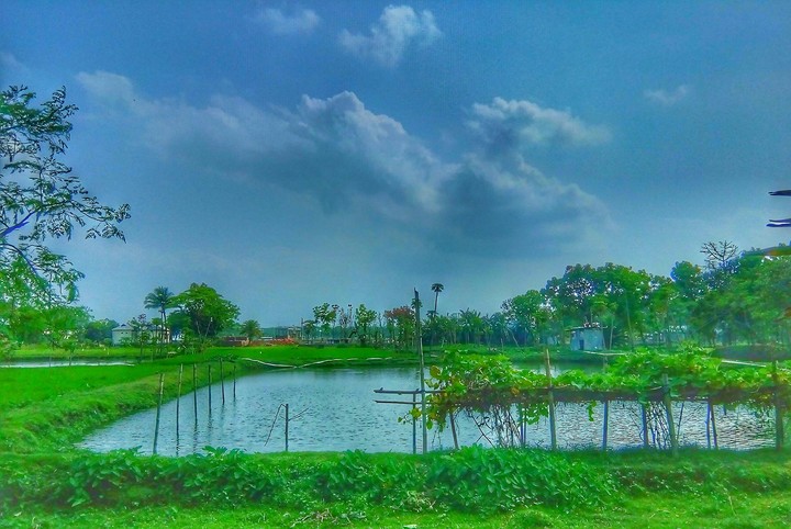 Sky view