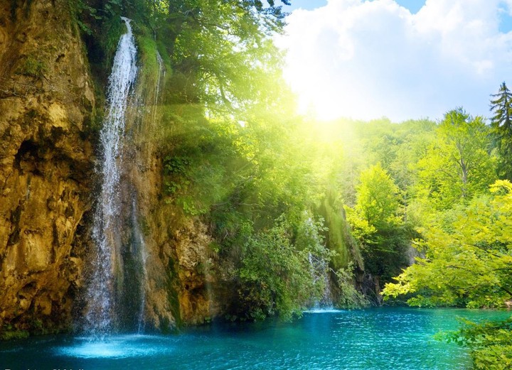 Sunny Waterfalls