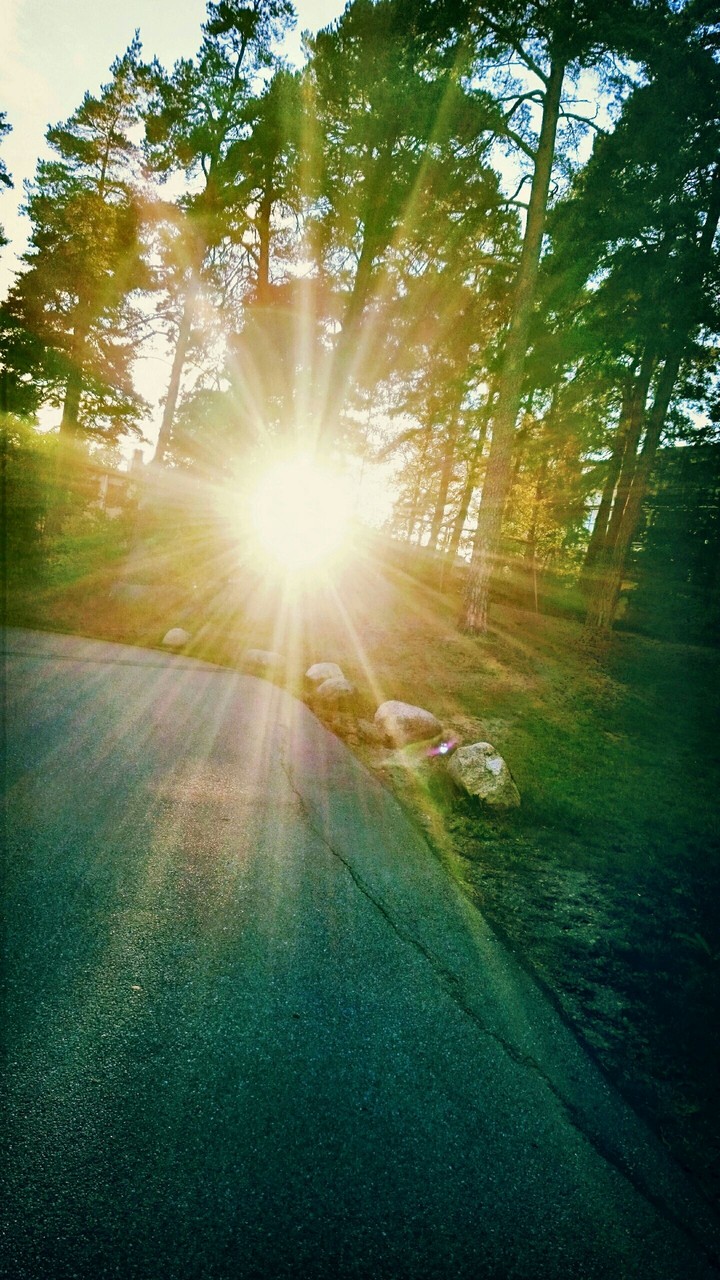 S U N S H I N E